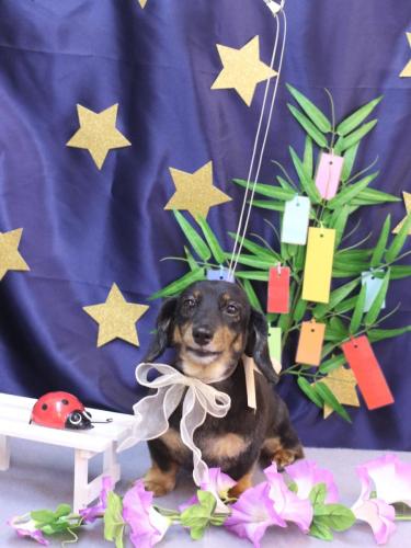 20230707モカちゃん